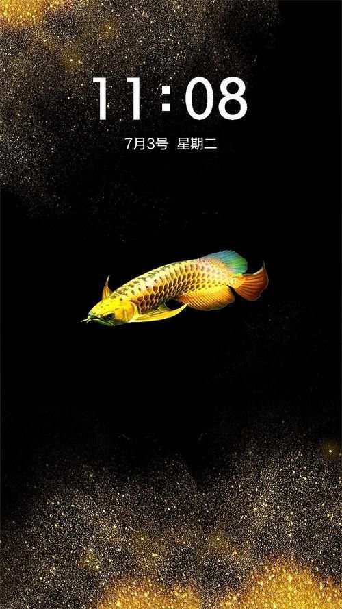 龍魚缸用什么顏色的背景好
