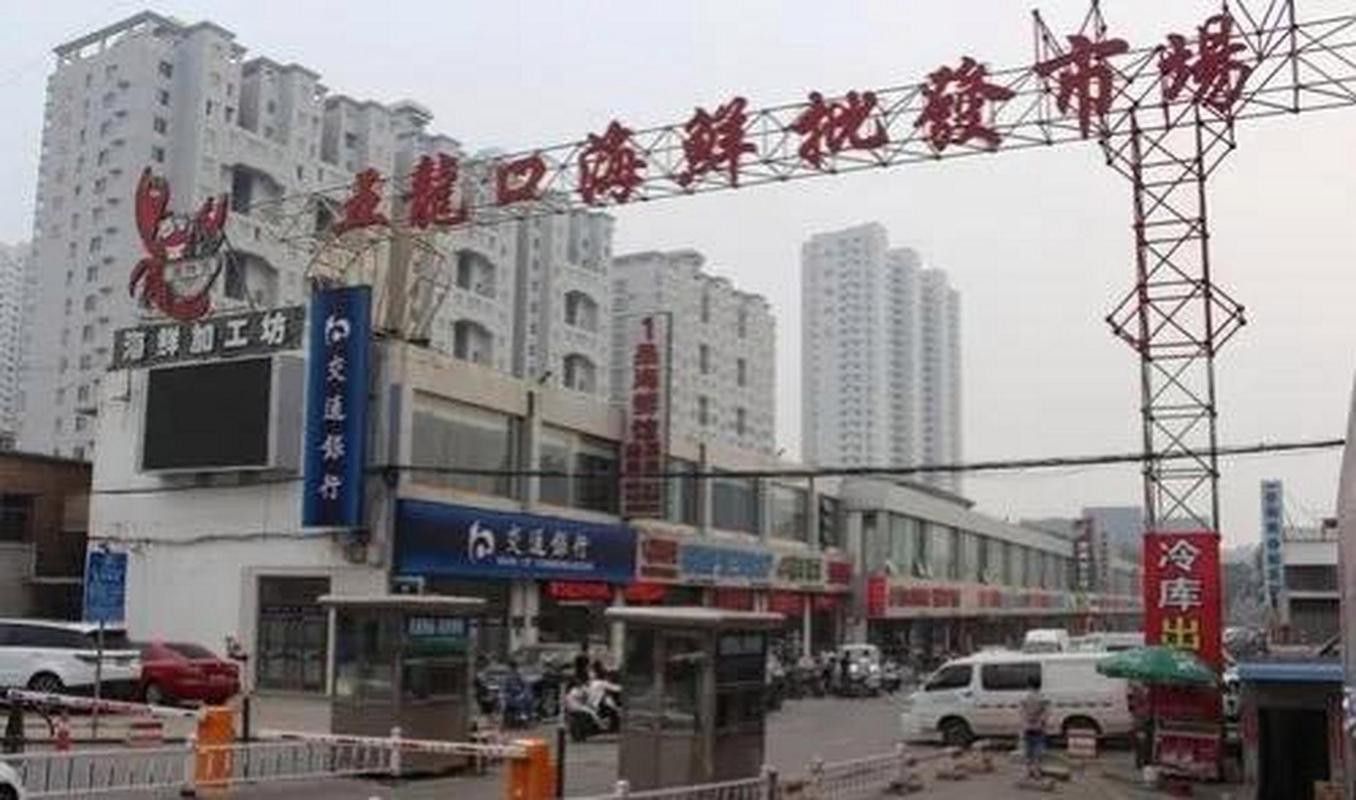 太原龍魚批發在哪里賣好 太原龍魚批發在哪里賣好 龍魚百科 第1張