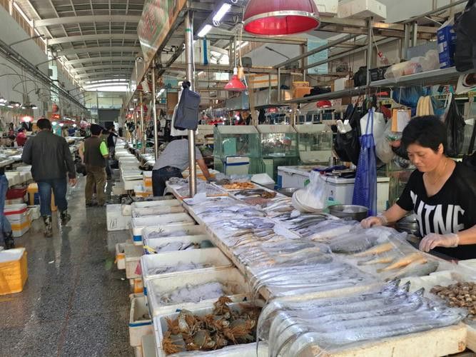 太原龍魚批發在哪里賣好 太原龍魚批發在哪里賣好 龍魚百科 第2張