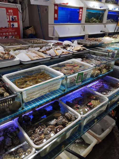 太原龍魚批發在哪里賣好 太原龍魚批發在哪里賣好 龍魚百科 第3張