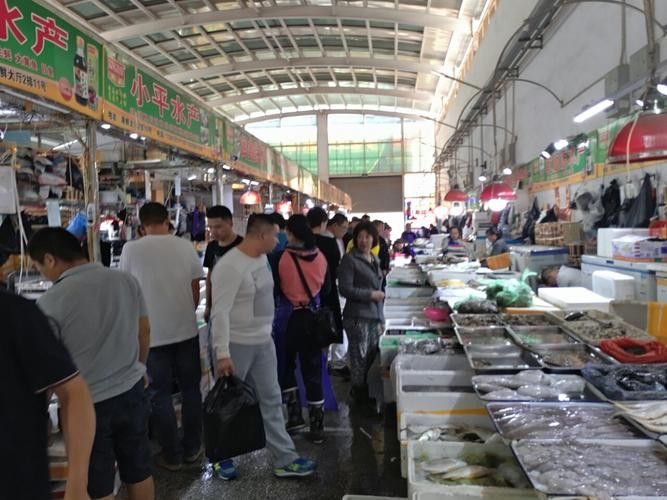 太原龍魚批發在哪里賣好 太原龍魚批發在哪里賣好 龍魚百科 第4張