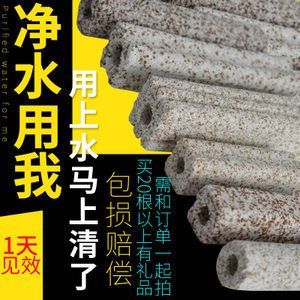 龍魚(yú)只要配什么過(guò)濾材：養(yǎng)龍魚(yú)時(shí)選擇合適的過(guò)濾材是非常重要的，因?yàn)檫^(guò)濾材不僅能凈化水質(zhì) 龍魚(yú)只要配什么過(guò)濾材：養(yǎng)龍魚(yú)時(shí)選擇合適的過(guò)濾材是非常重要的，因?yàn)檫^(guò)濾材不僅能凈化水質(zhì) 龍魚(yú)百科 第2張
