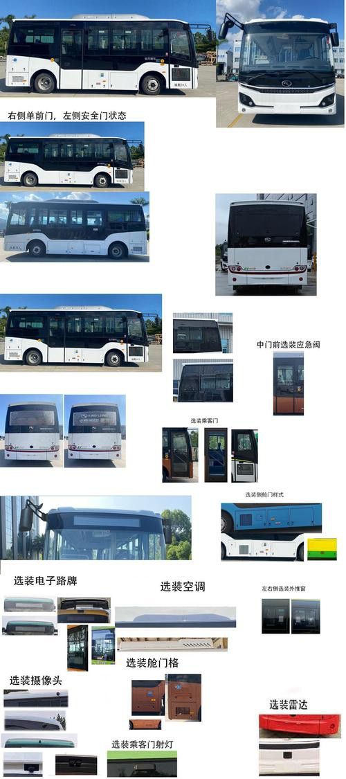 李亞四金龍的市場供需情況 李亞四金龍的市場供需情況 龍魚百科 第2張