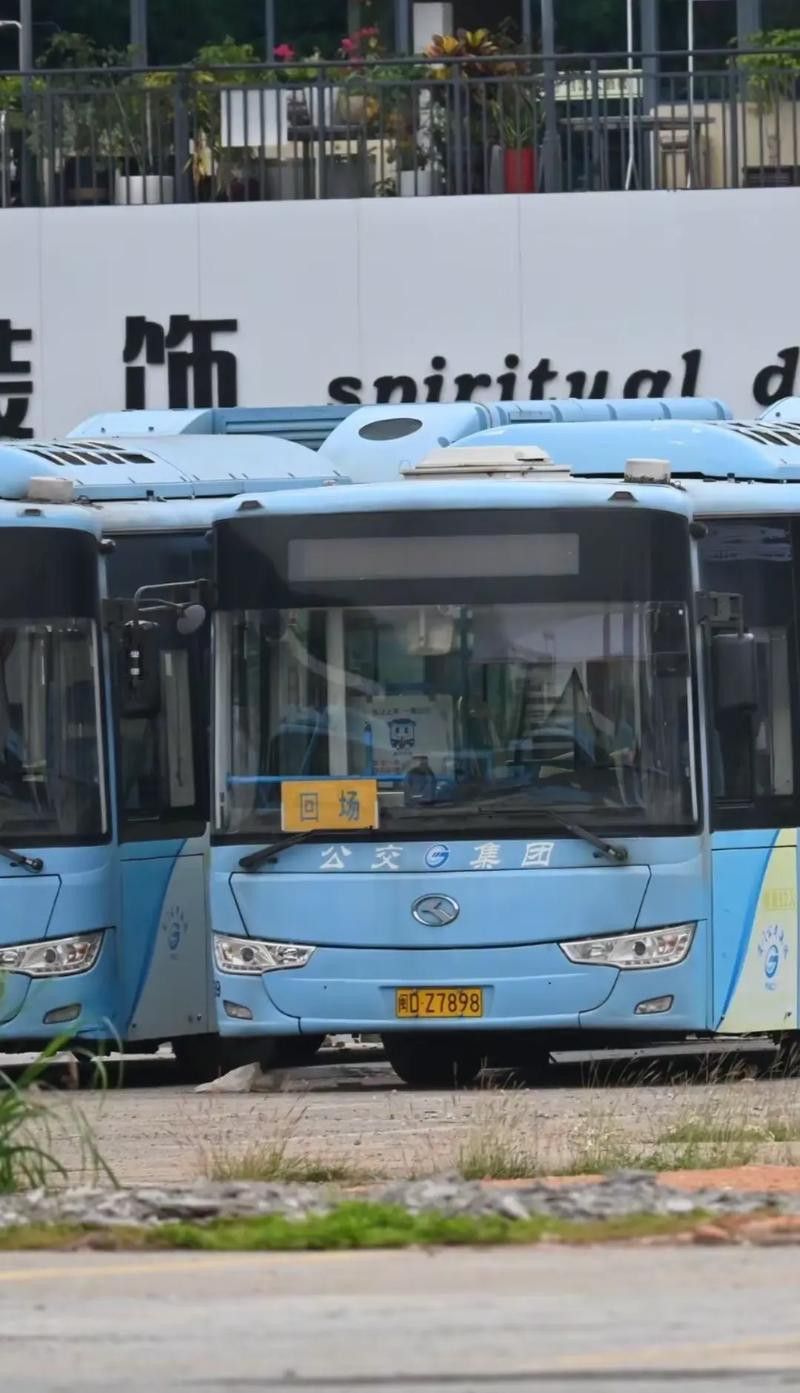 李亞四金龍的市場供需情況 李亞四金龍的市場供需情況 龍魚百科 第1張