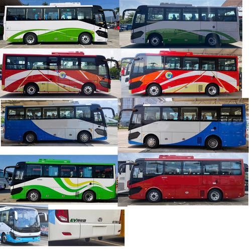 李亞四金龍的市場供需情況 李亞四金龍的市場供需情況 龍魚百科 第6張