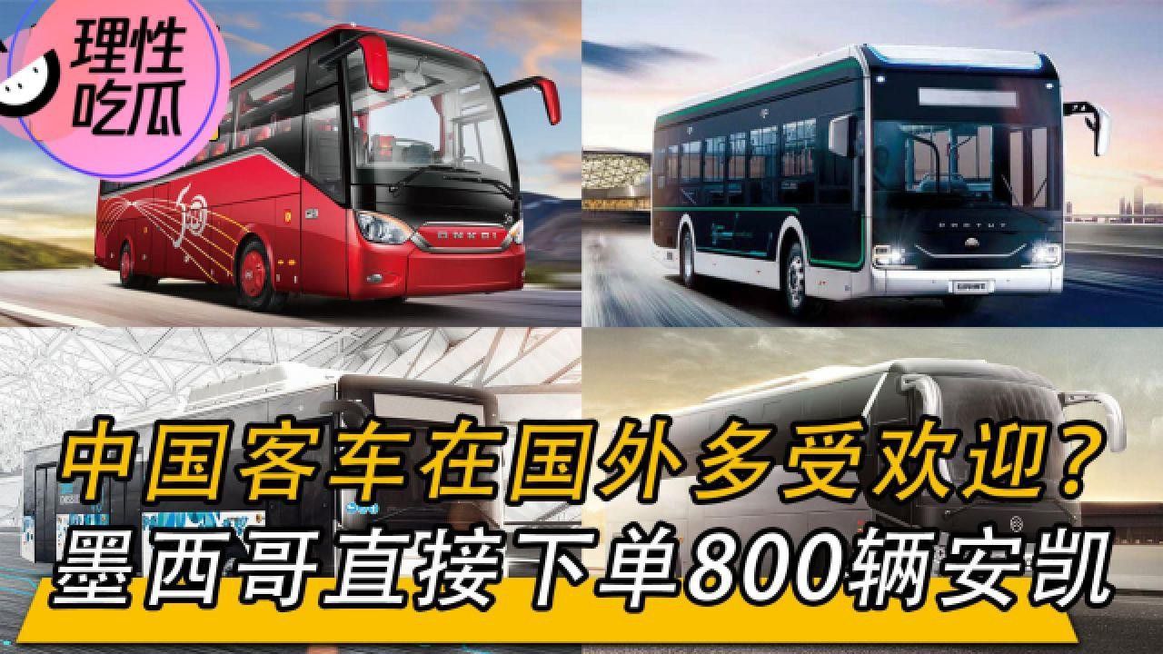 李亞四金龍的市場供需情況 李亞四金龍的市場供需情況 龍魚百科 第8張