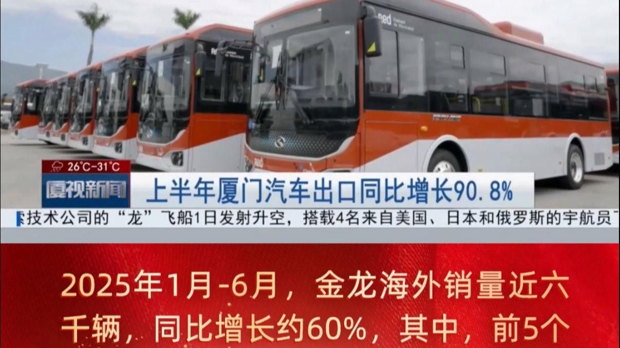 李亞四金龍的市場供需情況 李亞四金龍的市場供需情況 龍魚百科 第9張