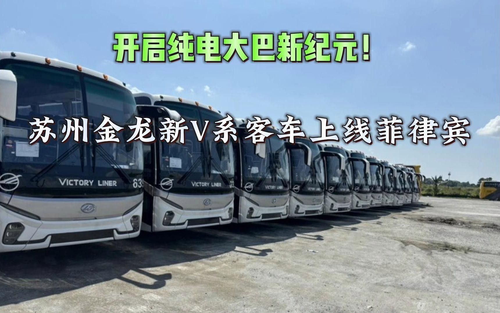 李亞四金龍的市場供需情況 李亞四金龍的市場供需情況 龍魚百科 第12張