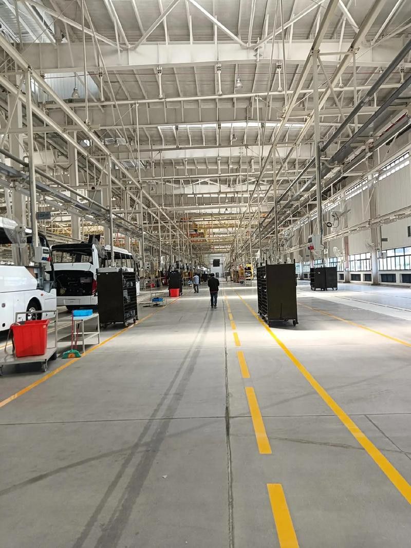 李亞四金龍的市場供需情況 李亞四金龍的市場供需情況 龍魚百科 第15張