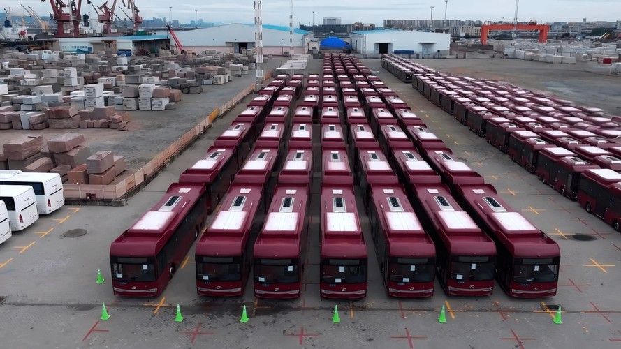 李亞四金龍的市場供需情況 李亞四金龍的市場供需情況 龍魚百科 第16張