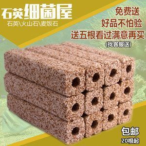 養(yǎng)龍魚過濾材料哪種好些一點