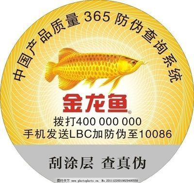 金龍魚真偽：如何鑒別金龍魚真偽