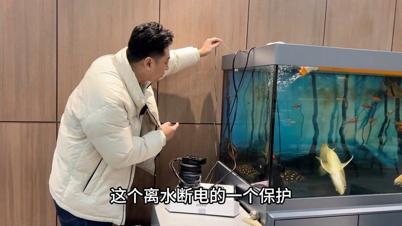 龍魚拉血最快的解決方法視頻