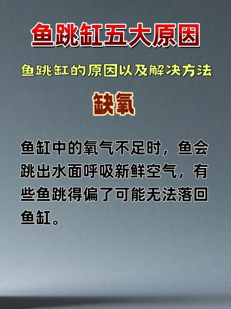 龍魚跳缸的原因有哪些圖片 龍魚跳缸的原因有哪些圖片 龍魚百科 第5張