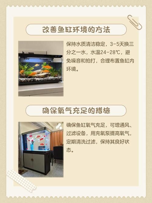 龍魚跳缸的原因有哪些圖片 龍魚跳缸的原因有哪些圖片 龍魚百科 第20張