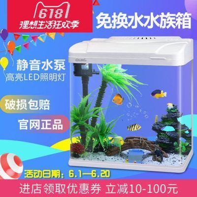龍魚換水不吃東西：龍魚換水后不吃東西可能是由于多種原因引起的拒食 龍魚換水不吃東西：龍魚換水后不吃東西可能是由于多種原因引起的拒食 龍魚百科 第2張