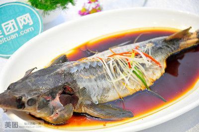 鄭州哪里賣龍魚多 鄭州哪里賣龍魚多 龍魚百科 第5張