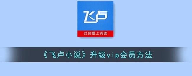 飛盧小說網(wǎng)的VIP會員費(fèi)用是多少？ 飛盧小說網(wǎng)的VIP會員費(fèi)用是多少？ 龍魚百科 第1張