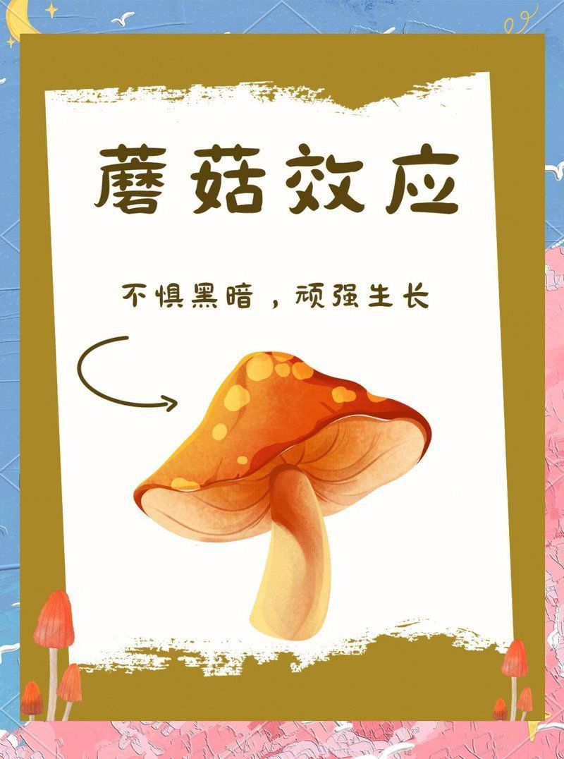 蘑菇玄學比喻什么人