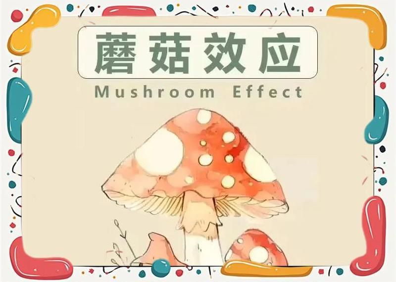 蘑菇玄學比喻什么人