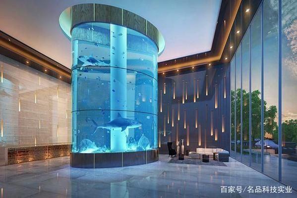形水魚缸的質量與口碑 形水魚缸的質量與口碑 龍魚百科 第1張