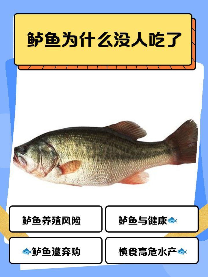 鱸魚為何被國(guó)家叫停