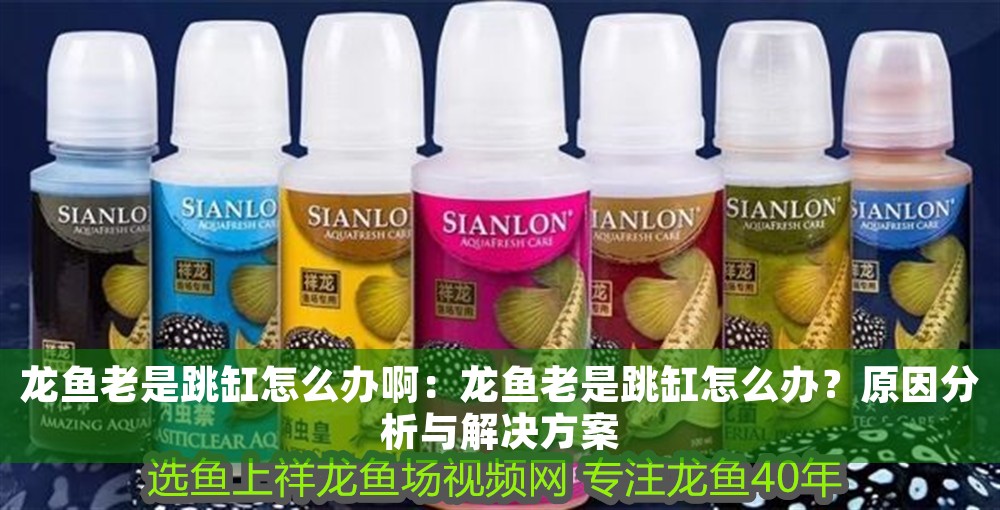 龍魚老是跳缸怎么辦啊：龍魚老是跳缸怎么辦？原因分析與解決方案