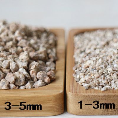 龍魚撞破嘴唇多久能好呀：龍魚嘴唇撞傷的恢復(fù)時(shí)間 龍魚撞破嘴唇多久能好呀：龍魚嘴唇撞傷的恢復(fù)時(shí)間 龍魚百科