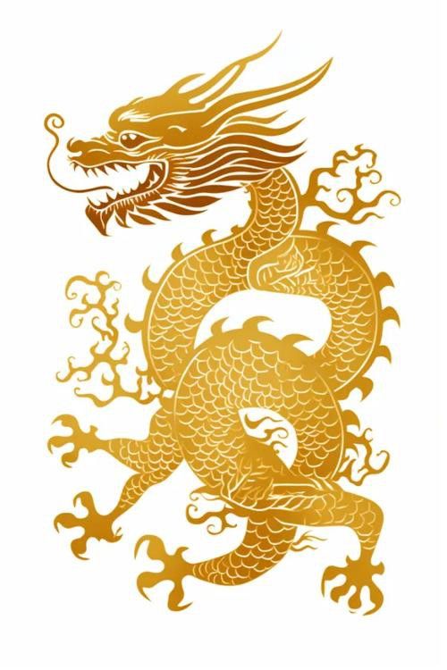 有沒有國潮風金龍IP設計案例？ 有沒有國潮風金龍IP設計案例？ 龍魚百科 第46張
