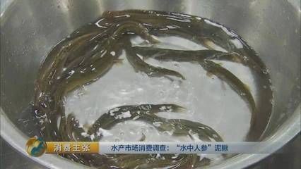 金龍魚高背魚過背圖解