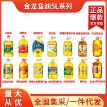 金龍魚(yú)的價(jià)格是多少？