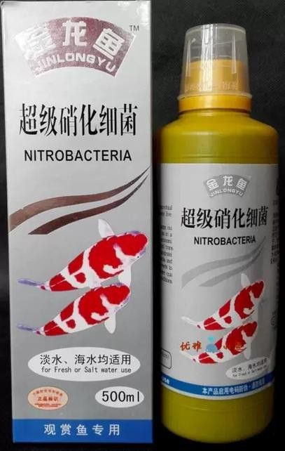 養(yǎng)金龍魚需要準備什么用品 龍魚百科 第12張 養(yǎng)金龍魚需要準備什么用品 養(yǎng)金龍魚需要準備什么用品 龍魚百科 第12張