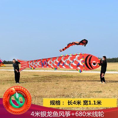 銀龍魚(yú)2023市場(chǎng)價(jià)（2023年銀龍魚(yú)價(jià)格概況）