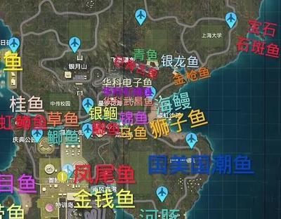 銀龍魚(yú)2023市場(chǎng)價(jià)（2023年銀龍魚(yú)價(jià)格概況）