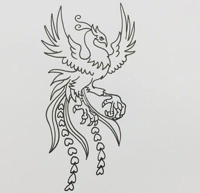 畫龍魚簡筆畫（龍魚簡筆畫圖片大全龍魚簡筆畫教程簡筆畫圖片大全）