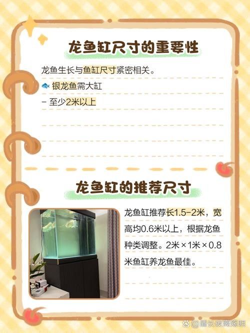 龍魚缸設計