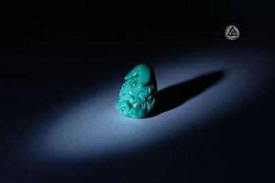 龍魚抖動身體的原因（龍魚抖動身體可能是由多種因素引起）