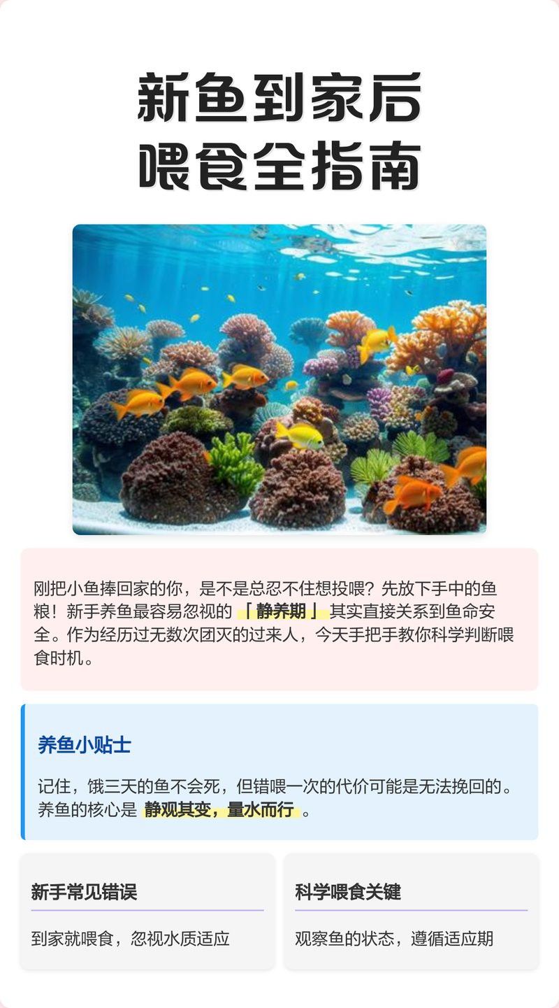 金龍魚幼苗多大可以換食