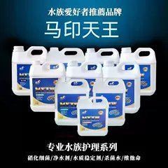 馬印天王和馬印的區(qū)別 龍魚百科 第3張 馬印天王和馬印的區(qū)別 馬印天王和馬印的區(qū)別 龍魚百科 第3張