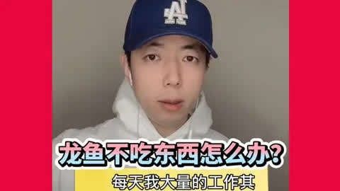 龍魚撞缸后不吃怎么辦？