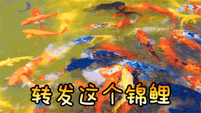 龍魚圖片大全圖片高清壁紙可愛卡通動(dòng)漫