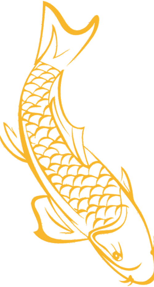 龍魚圖片大全圖片高清壁紙可愛卡通動(dòng)漫