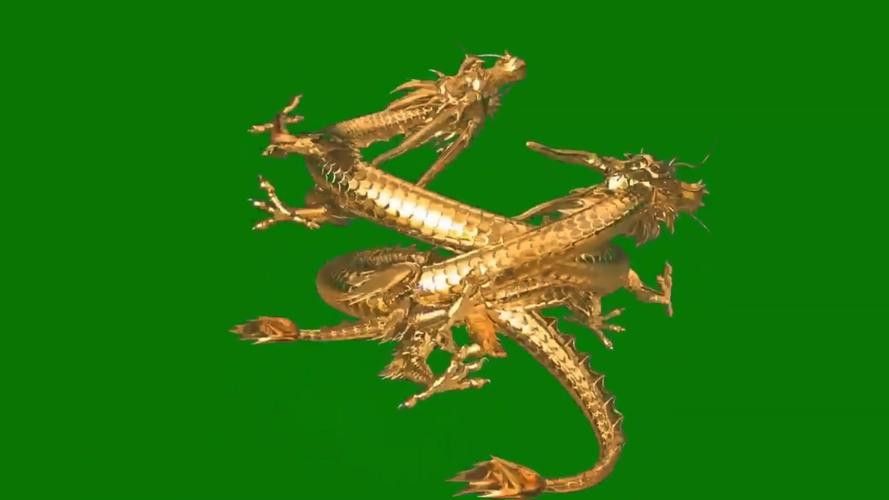 有沒有金龍圖片拍攝模板？ 有沒有金龍圖片拍攝模板？ 龍魚百科 第5張