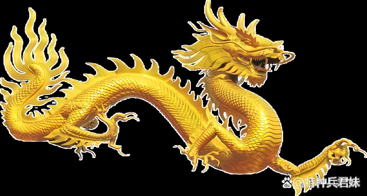 有沒有金龍圖片拍攝模板？ 有沒有金龍圖片拍攝模板？ 龍魚百科 第9張
