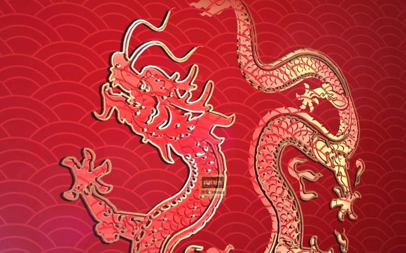 有沒有金龍圖片拍攝模板？ 有沒有金龍圖片拍攝模板？ 龍魚百科 第14張