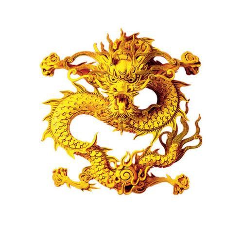 有沒有金龍圖片拍攝模板？ 有沒有金龍圖片拍攝模板？ 龍魚百科 第25張