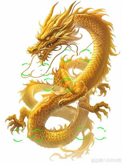 有沒有金龍圖片拍攝模板？ 有沒有金龍圖片拍攝模板？ 龍魚百科 第29張