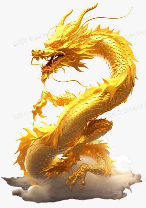 有沒有金龍圖片拍攝模板？ 有沒有金龍圖片拍攝模板？ 龍魚百科 第27張