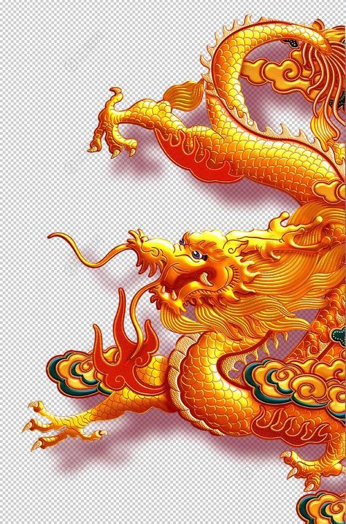 有沒有金龍圖片拍攝模板？ 有沒有金龍圖片拍攝模板？ 龍魚百科 第32張