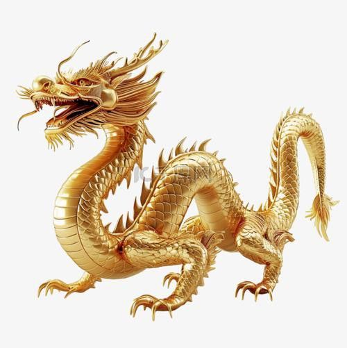 有沒有金龍圖片拍攝模板？ 有沒有金龍圖片拍攝模板？ 龍魚百科 第40張